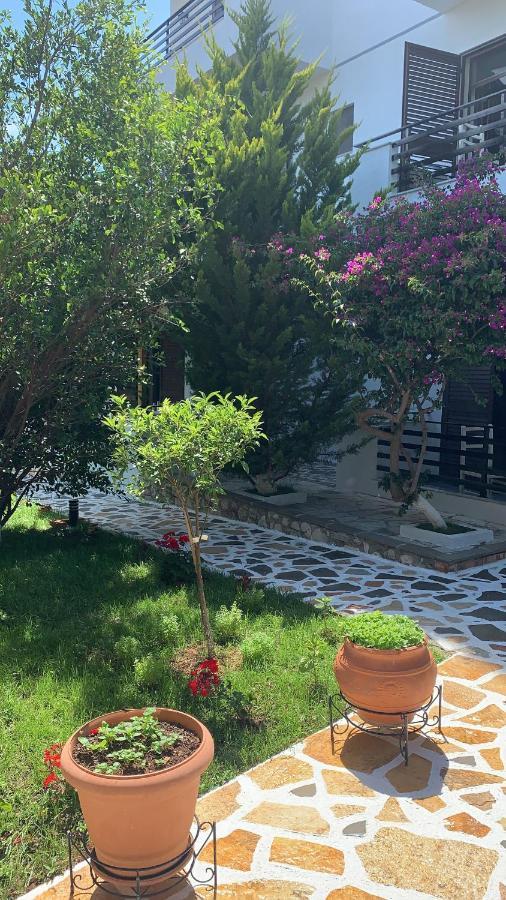 Hotel Natali Dhermi Exterior photo